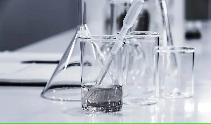 Pionniers dans les méthodes régénératives des tissus osseux